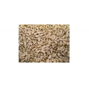 Słonecznik łuskany dla gołębi, papug, gryzoni 1kg